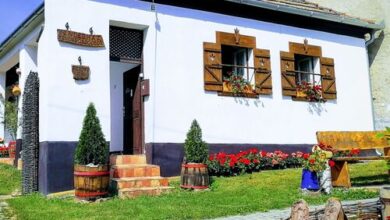 Bakonyi Kis-lak Bakonykoppány 