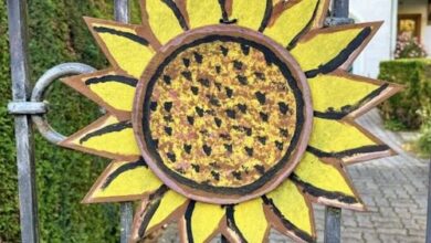 Bakonyi Napsugár Vendégház Döbrönte 