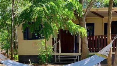 Bakonyi Pata Tanya Nagytevel  