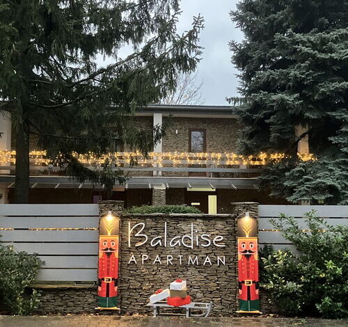 Baladise Apartman Balatonvilágos 