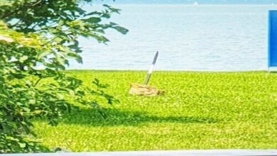 Balancaa Beach Vízparti Apartman Siófok 