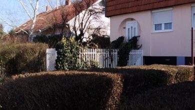 Balassi Vendégház Sárospatak 