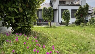 Balaton 5 Apartman Balatonboglár 