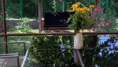 Balaton17 Apartman Balatonboglár 