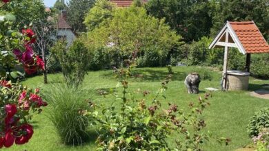 Balatonfüred-Péter Apartman Balatonfüred 