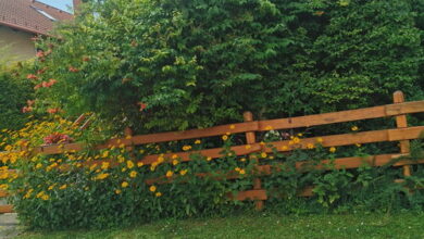 Balatoni Fészek Apartman Balatonalmádi 