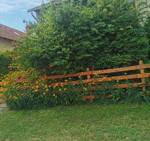 Balatoni Fészek Apartman Balatonalmádi 