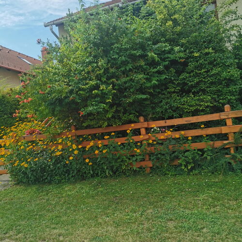 Balatoni Fészek Apartman Balatonalmádi