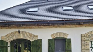 Bálint Borlak Hajós 