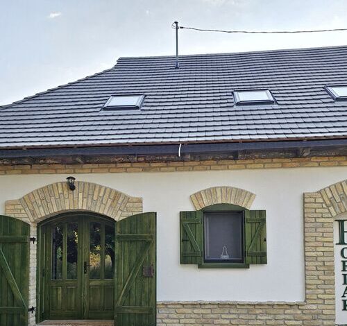 Bálint Borlak Hajós 