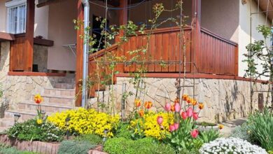 Balogh Apartman Zalakaros 