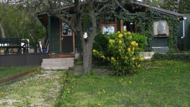 Bandilak Faház Balatonalmádi 