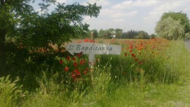 Banditanya Vendégház Mórahalom 