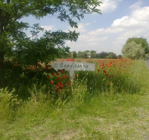 Banditanya Vendégház Mórahalom 