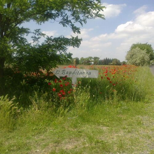 Banditanya Vendégház Mórahalom