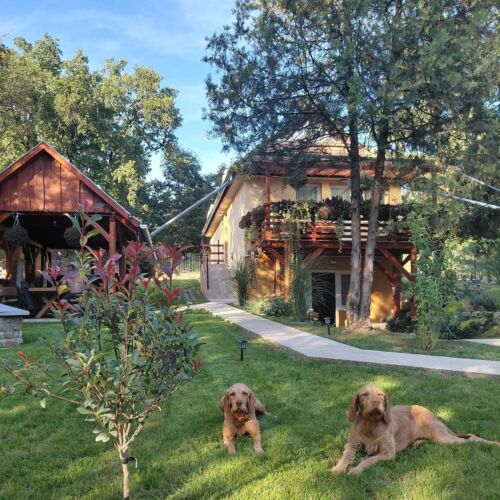 Banya-Tanya Vendégház Nagymaros