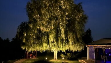 Battonya House Battonya 