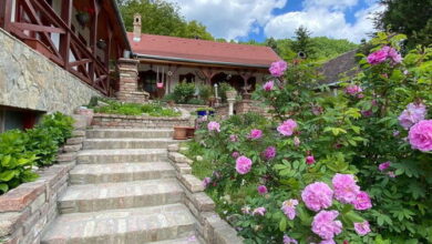 Bauer Teljes Vendégház Hosszúhetény - Püspökszentlászló 