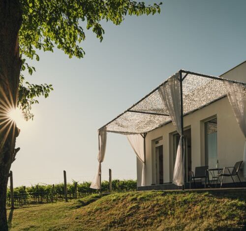 Bázis a hegyen Vendégház Dunaszentmiklós 