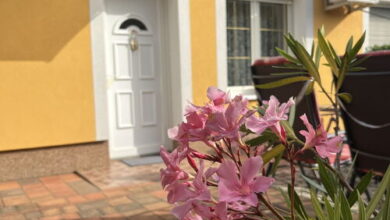 Bazsarózsa Vendégház Csopak 