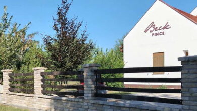 Beck Pince Apartman Hajós 