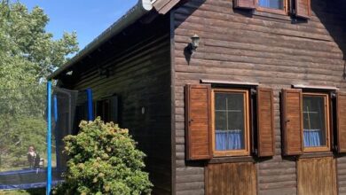 Bedőlt Fa Horgásznyaraló Gyomaendrőd 