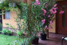 Békaváros Apartman Bakonybél 