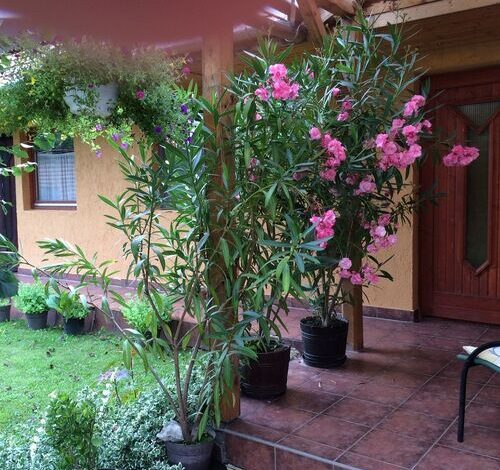 Békaváros Apartman Bakonybél 