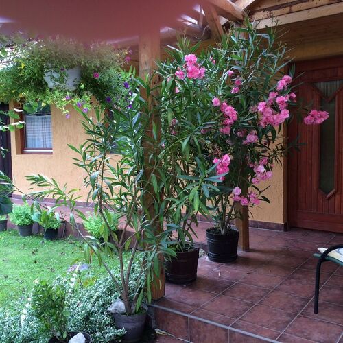 Békaváros Apartman Bakonybél