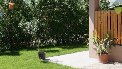 Béke-Liget Apartman Tiszafüred 