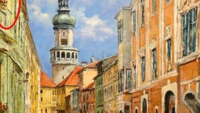 Belvárosi Erdészlak Apartman Sopron 