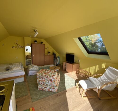 Berek 1 Apartman Balatonfenyves 