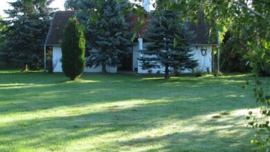 Berkenye Vendégház Szalafő 