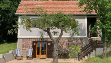 Berkenyés Házikó Szőlősgyörök 