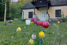 Bíbor Erdei Vendegház Kaposkeresztúr 