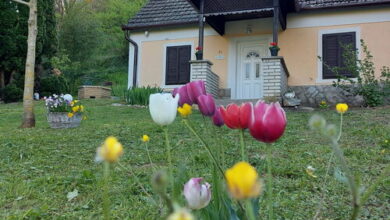 Bíbor Erdei Vendegház Kaposkeresztúr 