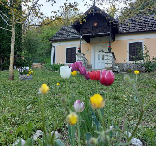 Bíbor Erdei Vendegház Kaposkeresztúr 