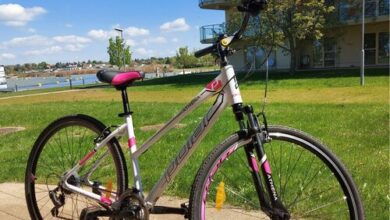 Bike & Spa Apartman Velence 