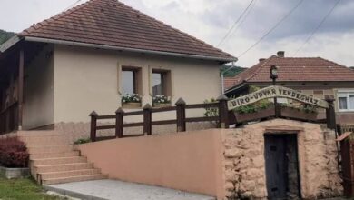 Bíró-Udvar Vendégház Mályinka 