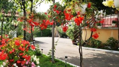 Bodnár Vendégház Noszvaj 