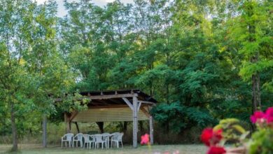 Bodzavirág Vendégház Hódmezővásárhely 