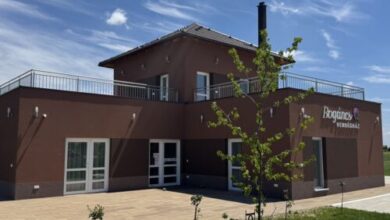 Bogáncs Vendégház Hódmezővásárhely 