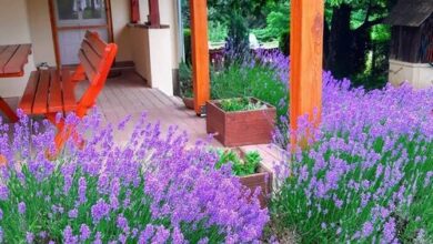 Boglárka Vendégház Nagymákfa Vasvár 