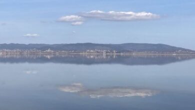 Boglárka és Levente Vízparti Apartmanok Balatonmáriafürdő 