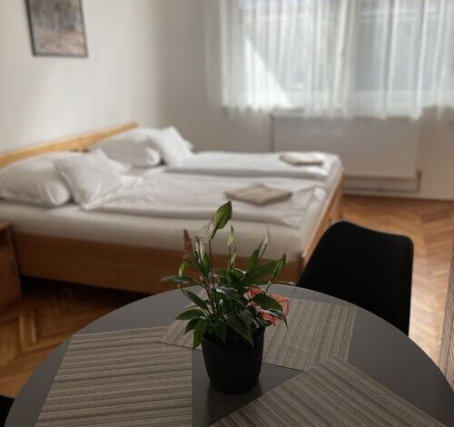 Bogoly Apartman Tokaj 
