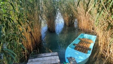 Bohém Vendégház Ábrahámhegy 