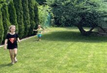 Bonsai Garden Balatonkenese 