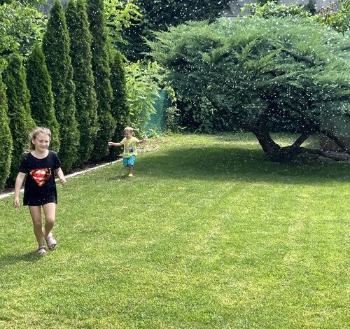 Bonsai Garden Balatonkenese 