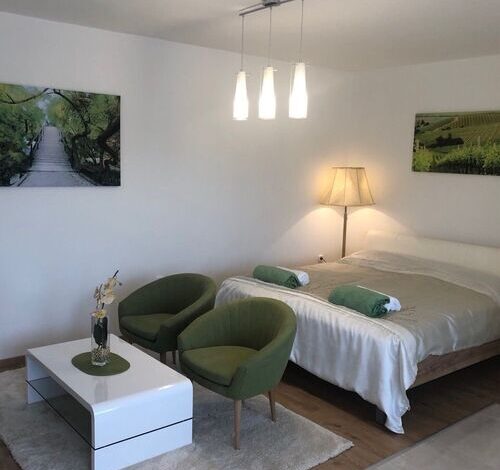 Borbarát Apartman Villány 