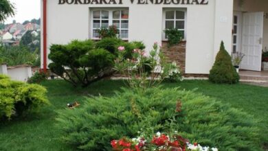 Borbarát Vendégház Eger 